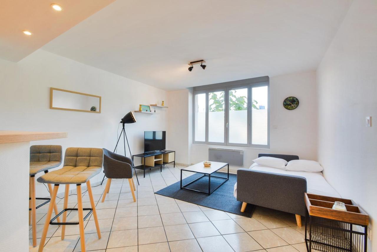 Les Cosy De Nancy La Taniere De La Porte Verte 4Etoiles エクステリア 写真